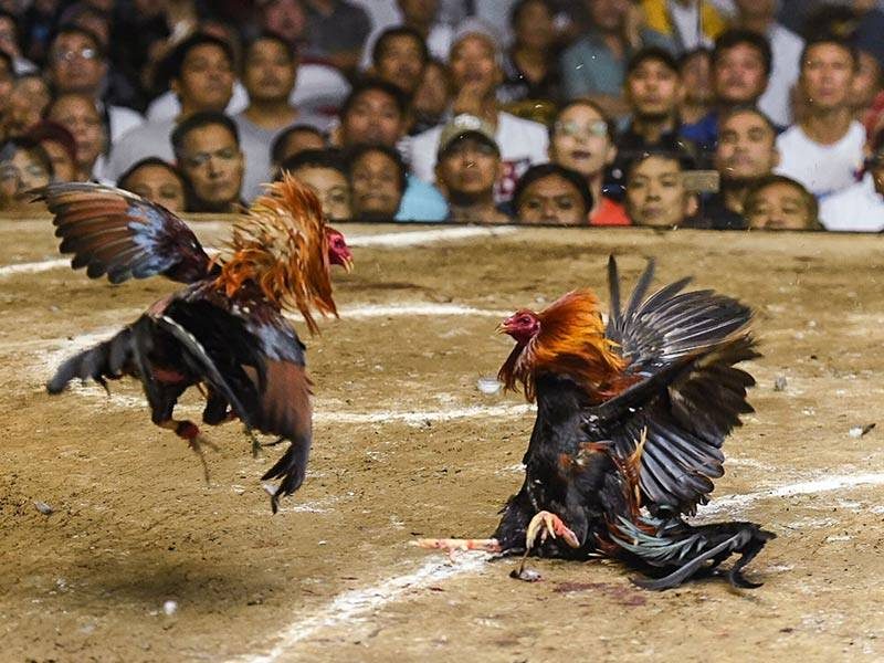 Nhà cái thường cập nhật trên trang Bsport các trận đấu chất lượng