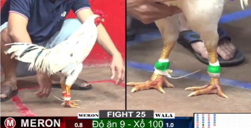 Nhà cái Bsport triển khai thêm bộ môn cá cược hấp dẫn