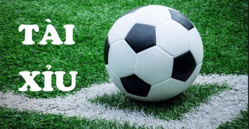 Tìm hiểu thông tin kèo để tránh hiểu nhầm